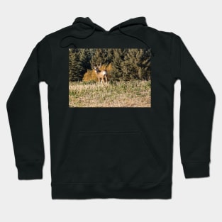 A deer with Antlers Hoodie